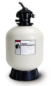 Tagelus Filter (TA60)